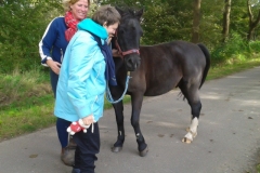 wandelen-pony